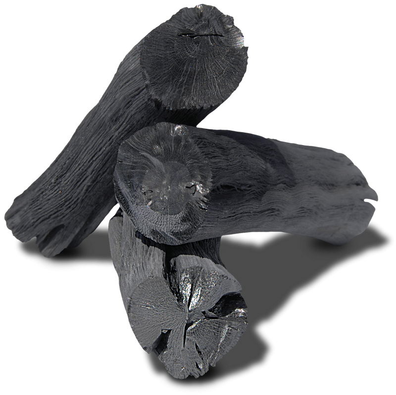 SPINE – Binchotan Aktivkohle - vortexpower